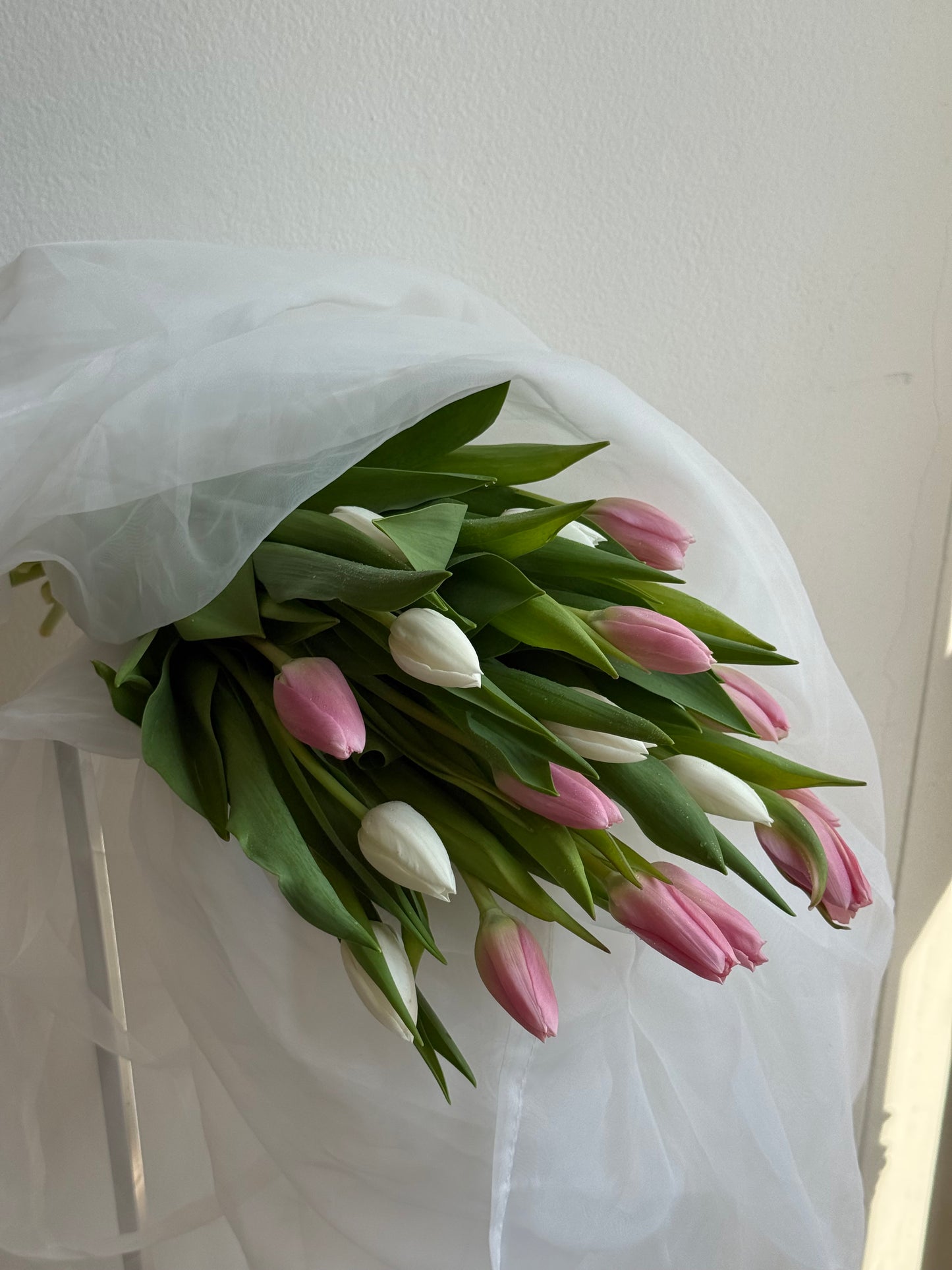 Tulip Bunch