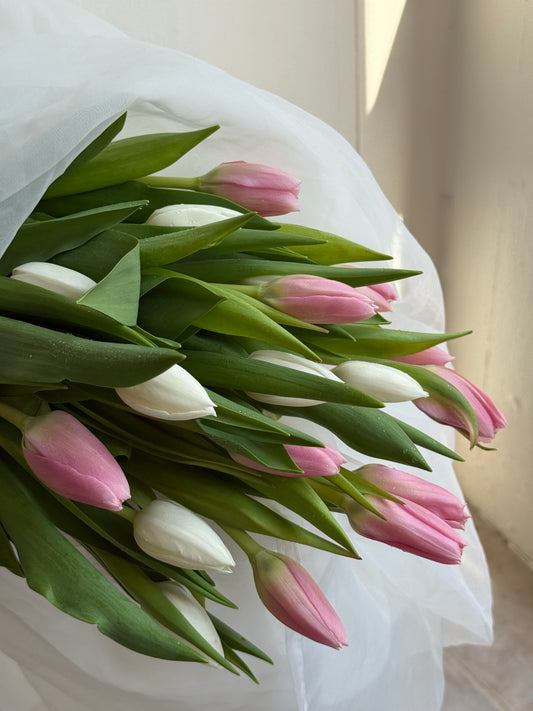 Tulip Bunch