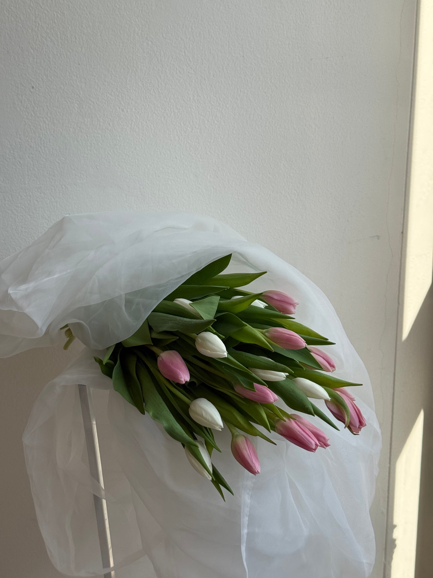 Tulip Bunch