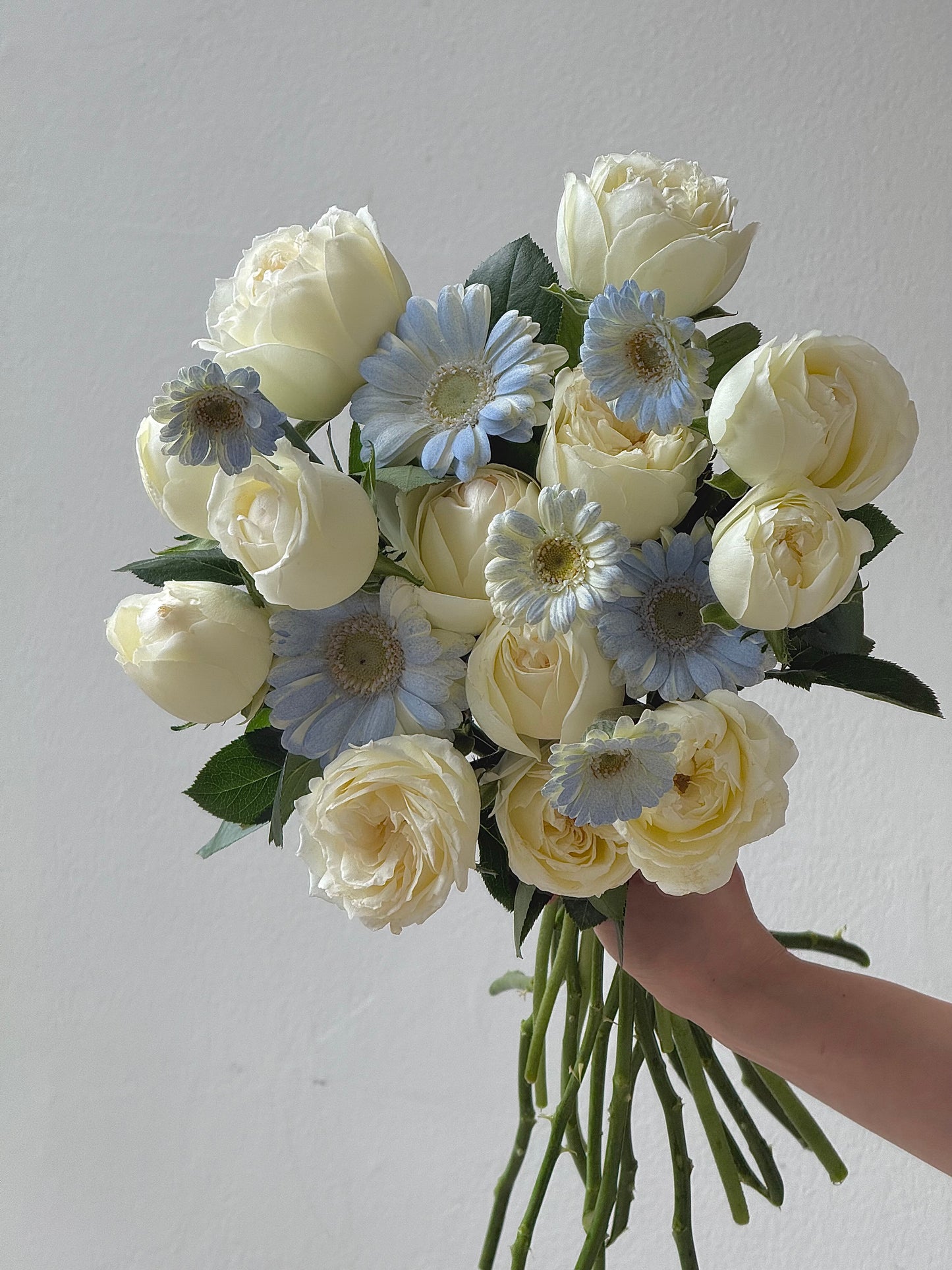[K-Style] WHITE / BLUE BOUQUET